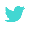 Lien Twitter
